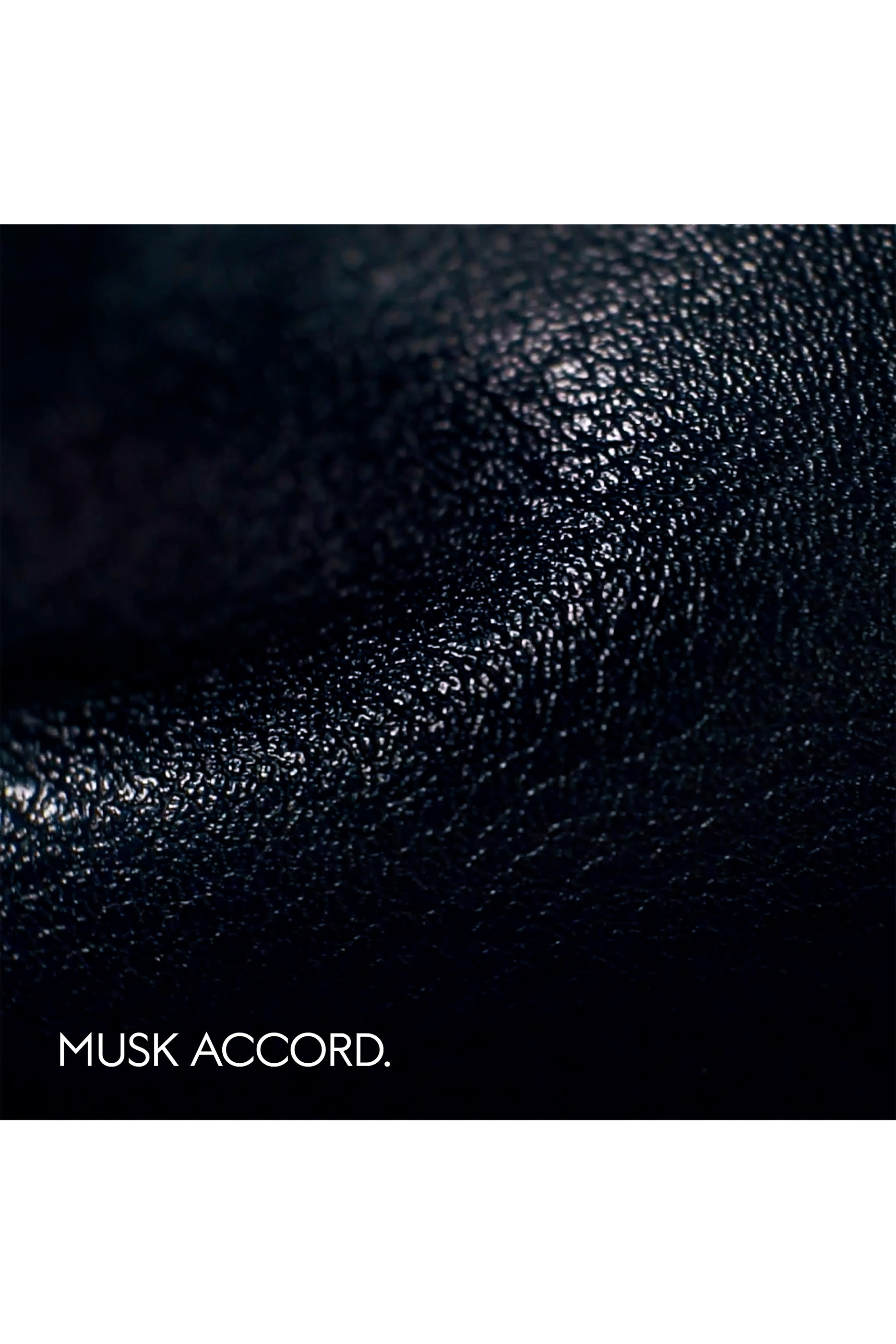 The Alchemist&rsquo;s Garden, Muschio Mineralis Eau de Parfum 