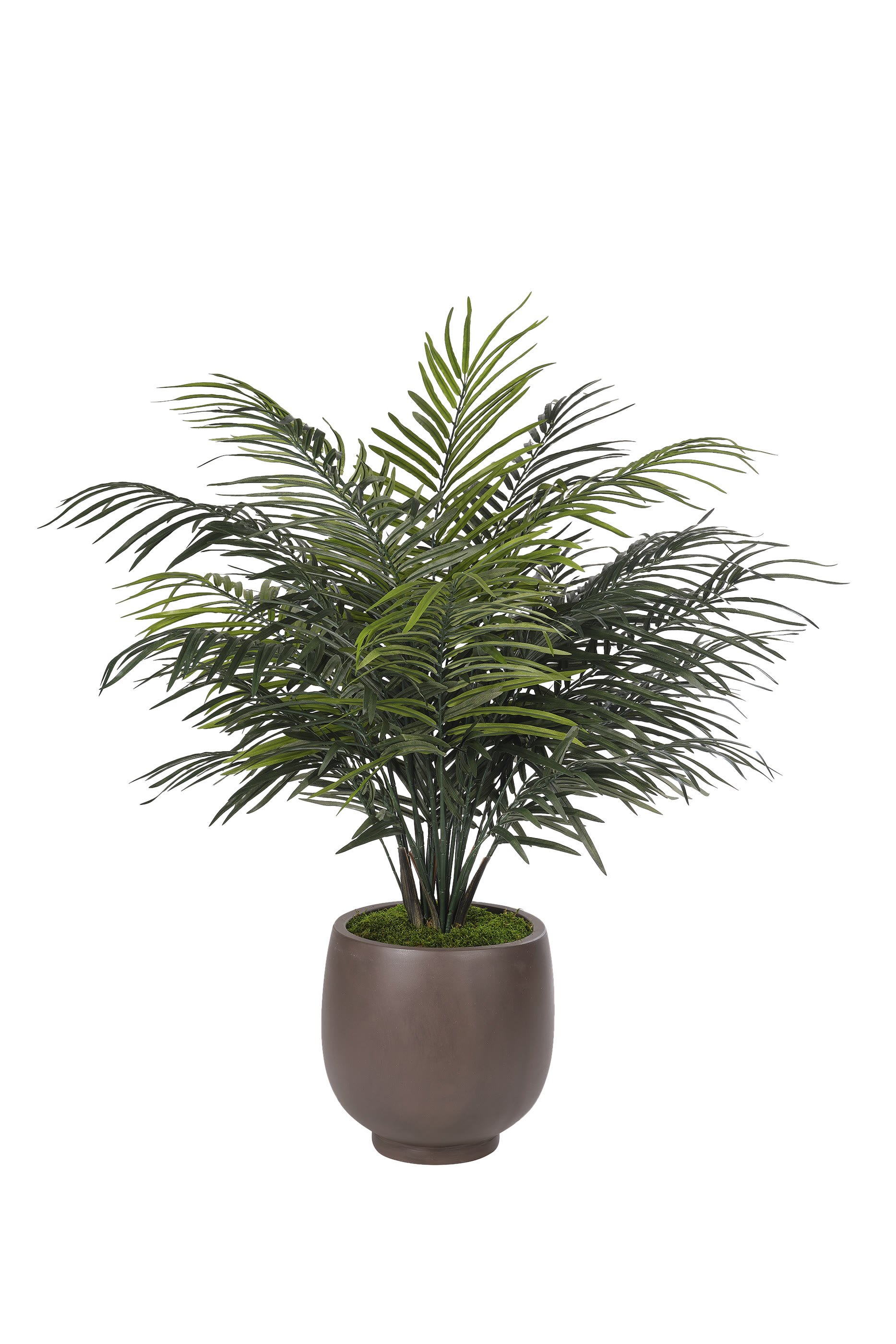 Areca Palm - Faux Tree