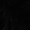 BLK