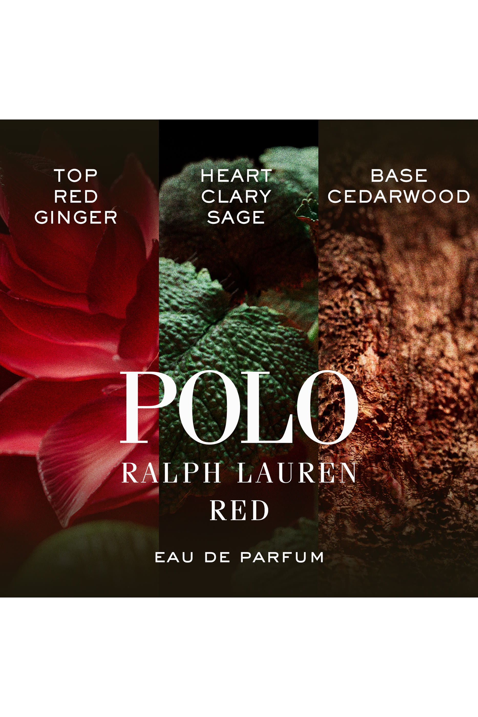 Polo Red Eau de Parfum