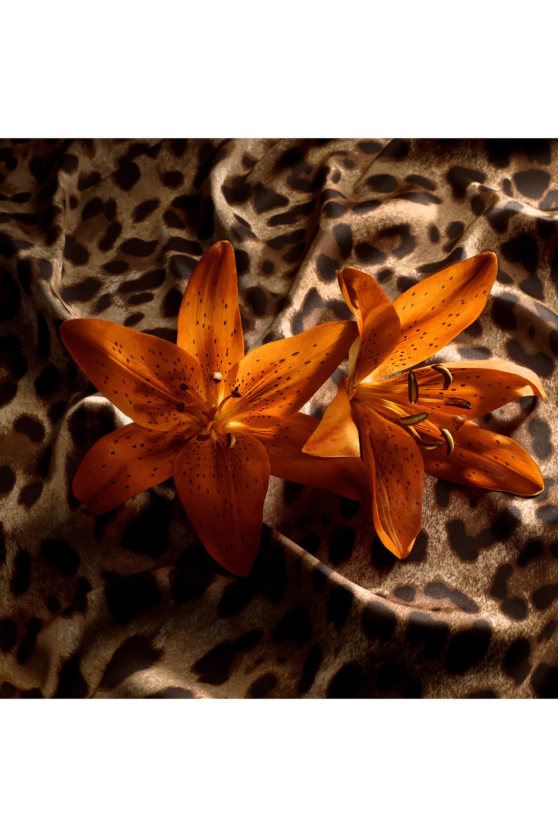 BY WOMAN Re-Edition Eau de Parfum