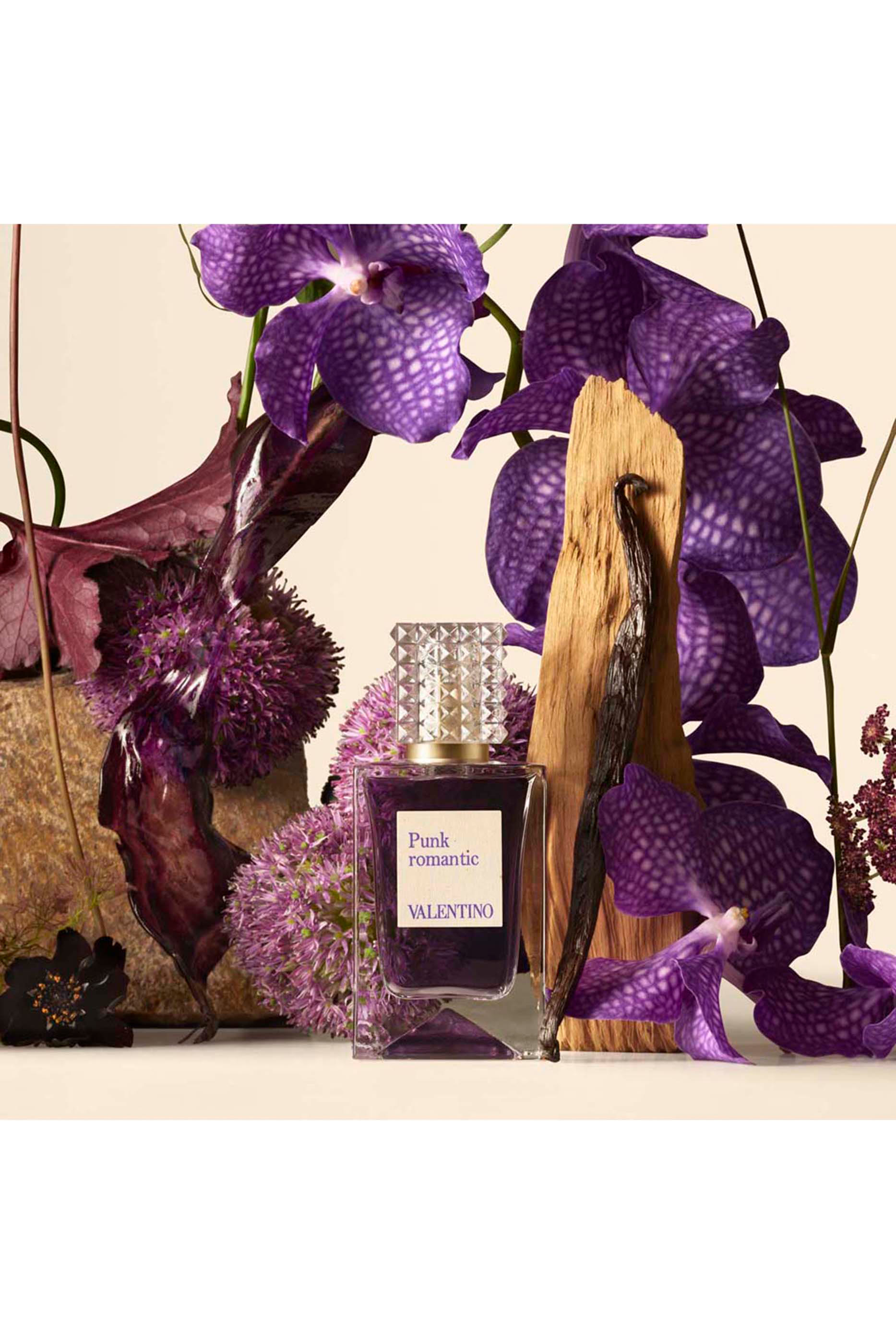 عطر أناتومي أوف دريمز - بانك رومانتيك