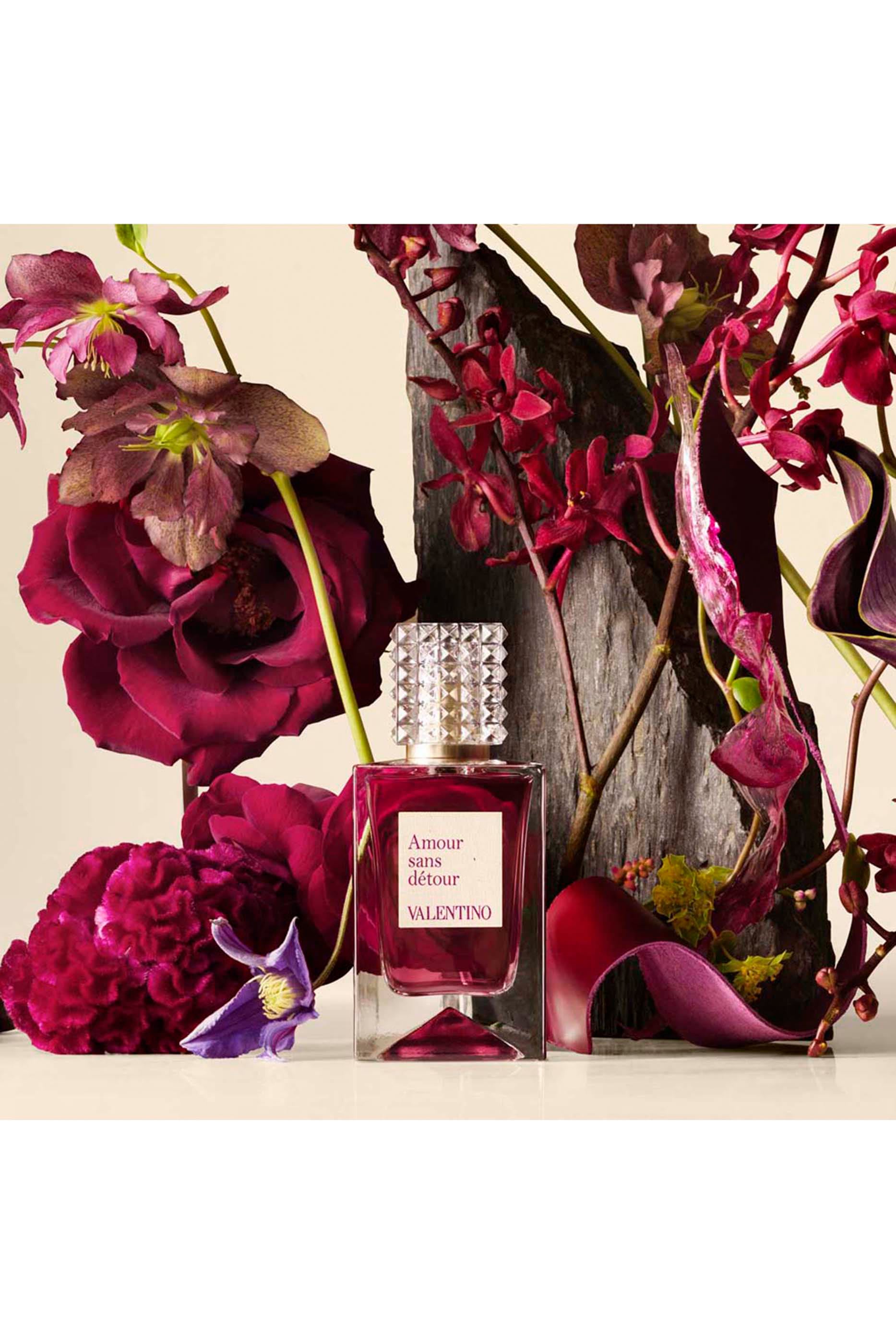عطر أمور سان ديتور - أناتومي أوف دريمز