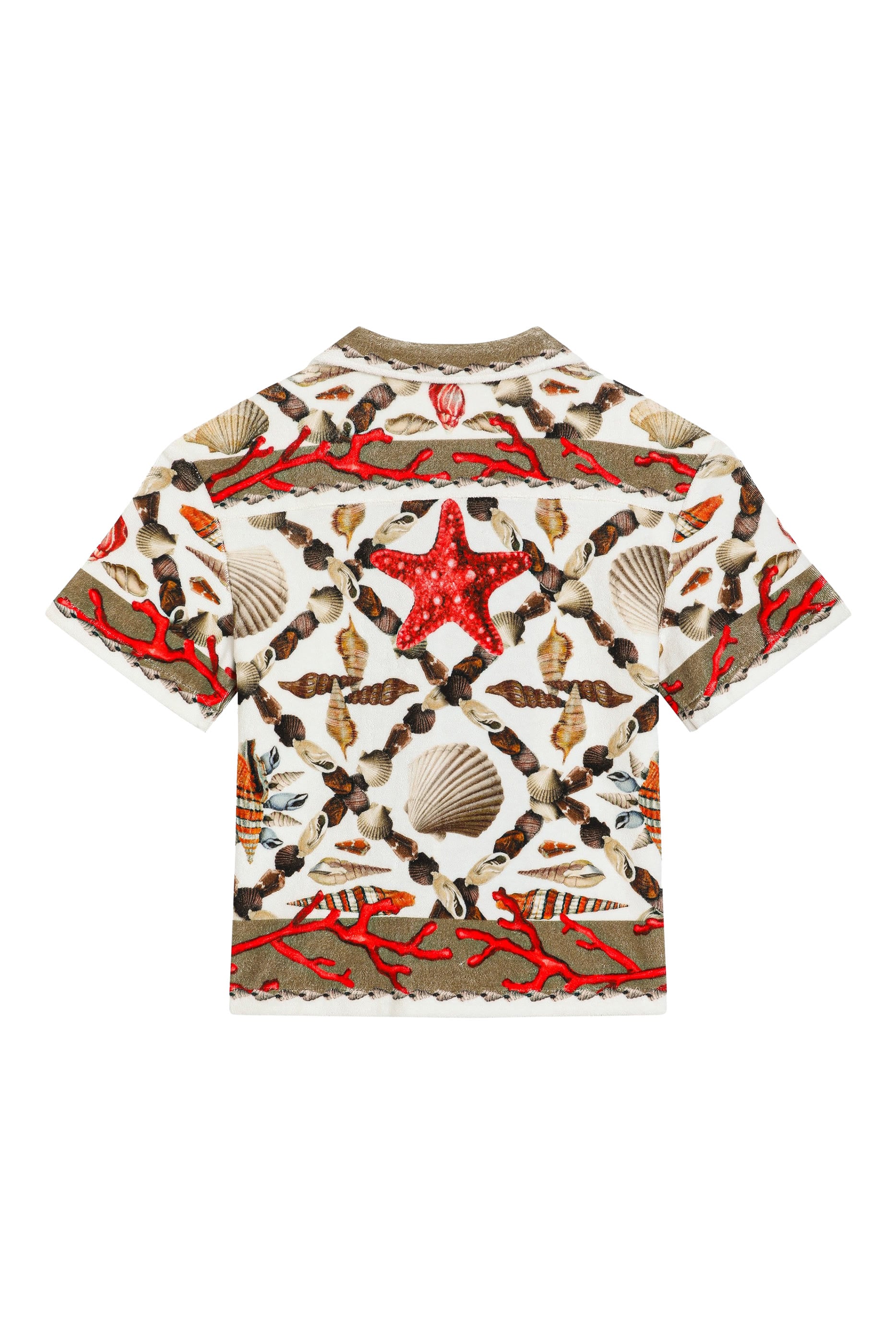 Kids Shell Print Cotton Terry Shirt