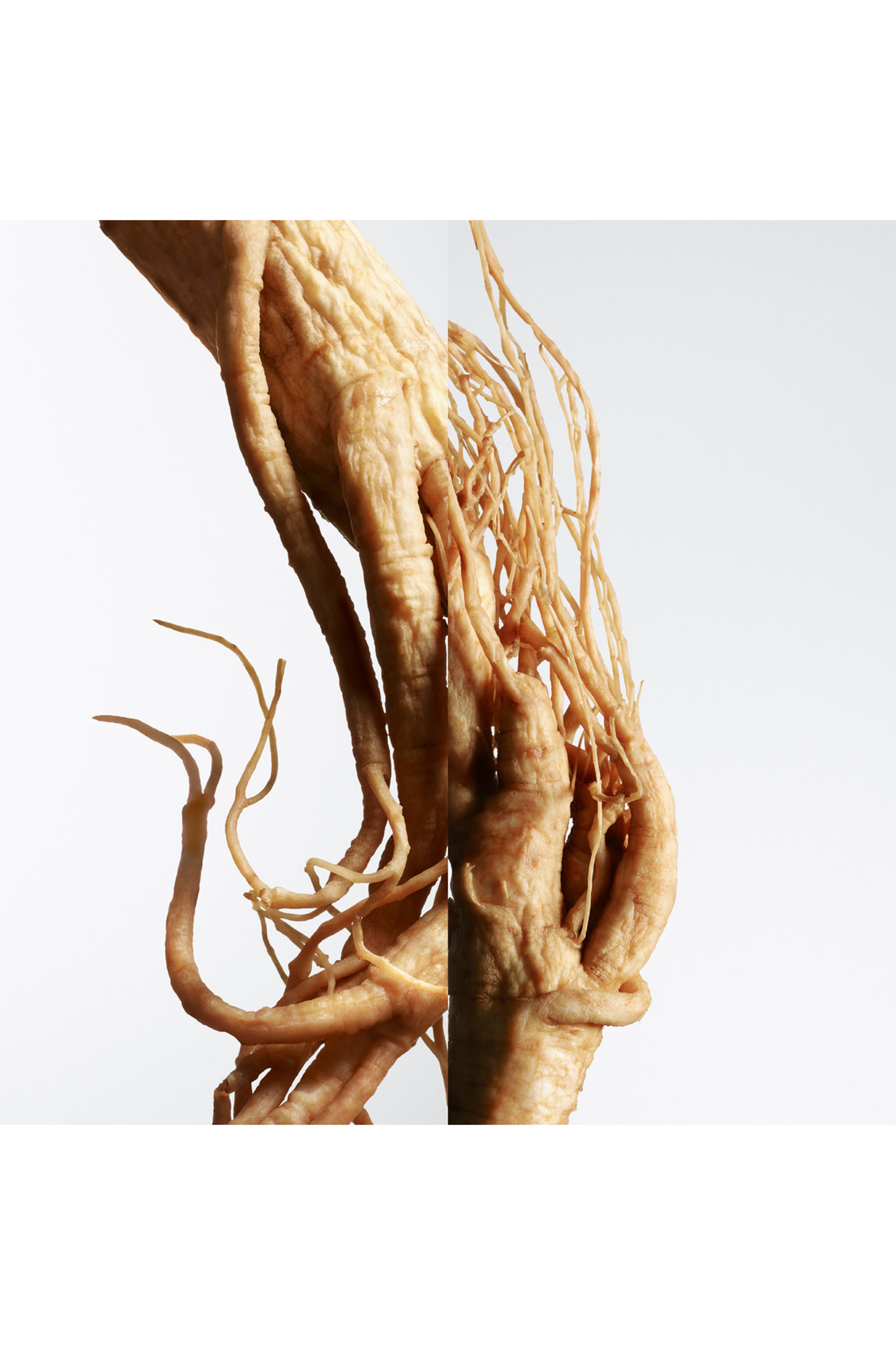 Ginseng Biloba Eau de Parfum