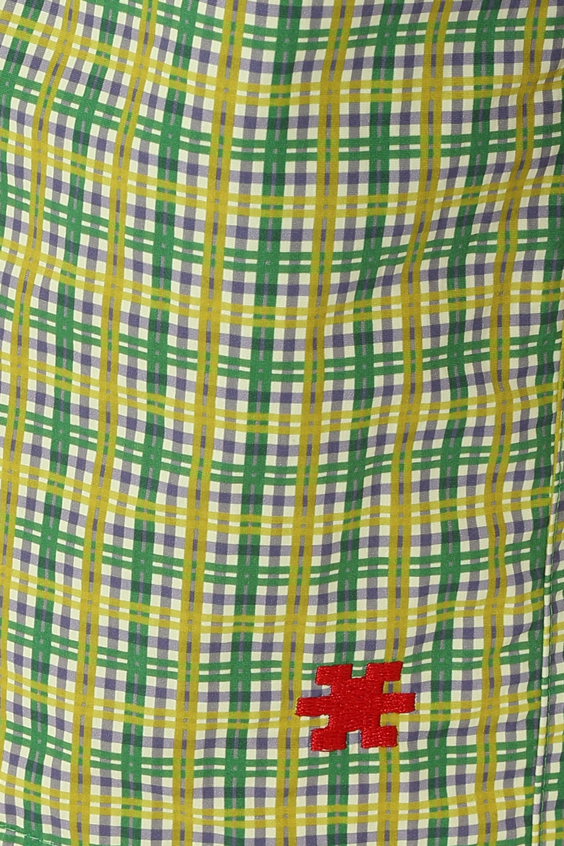 Vintage Checks Swim Shorts
