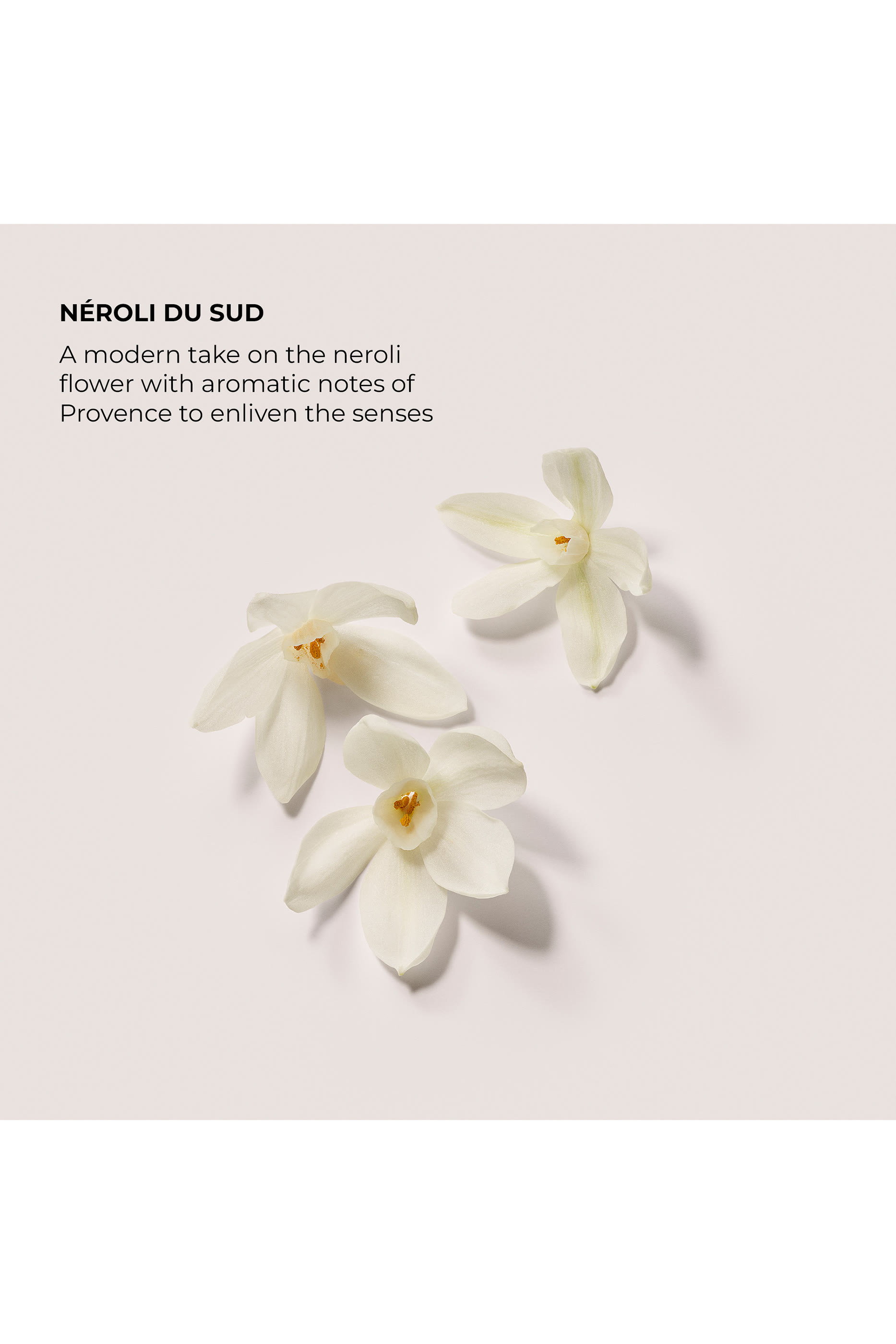 Neroli Du Sud Serum Body Cream, 200ml