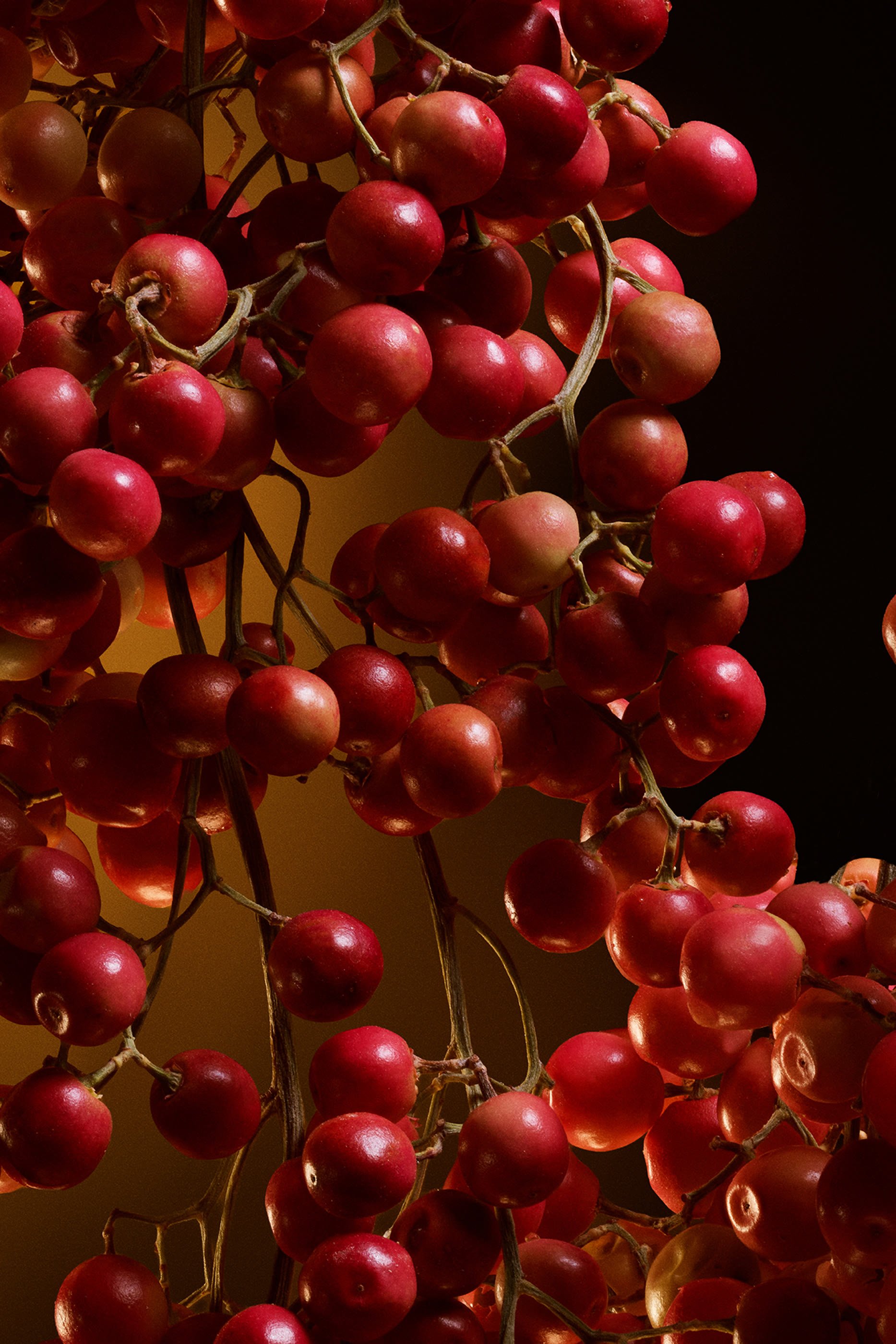 The One Eau de Parfum Intense 