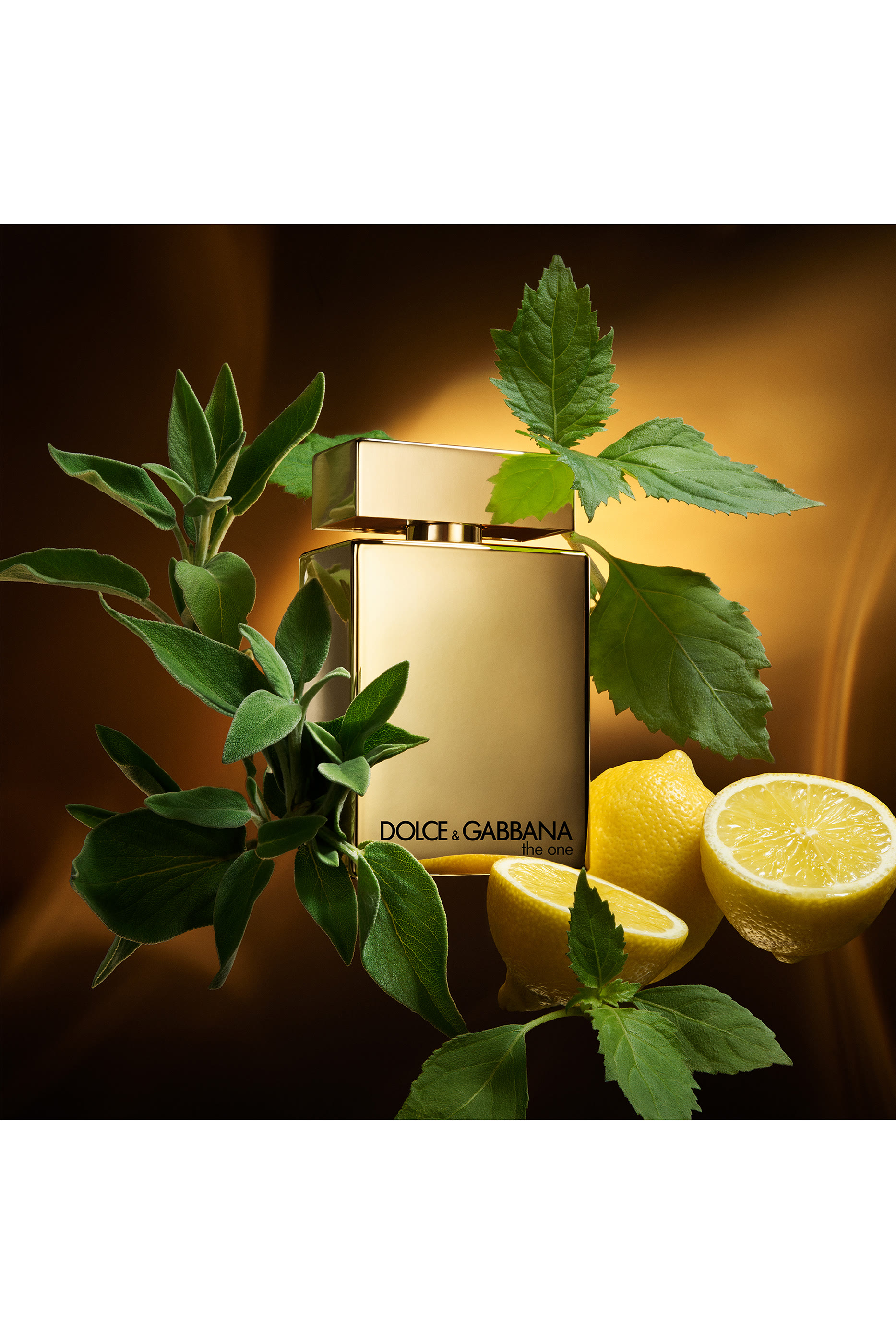 The One for Men Gold Eau de Parfum Intense