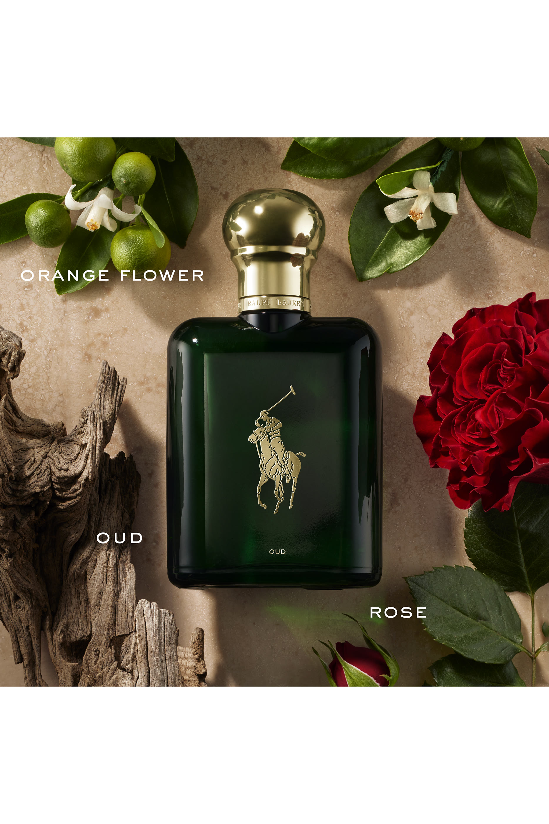 Polo Oud Eau de Parfum