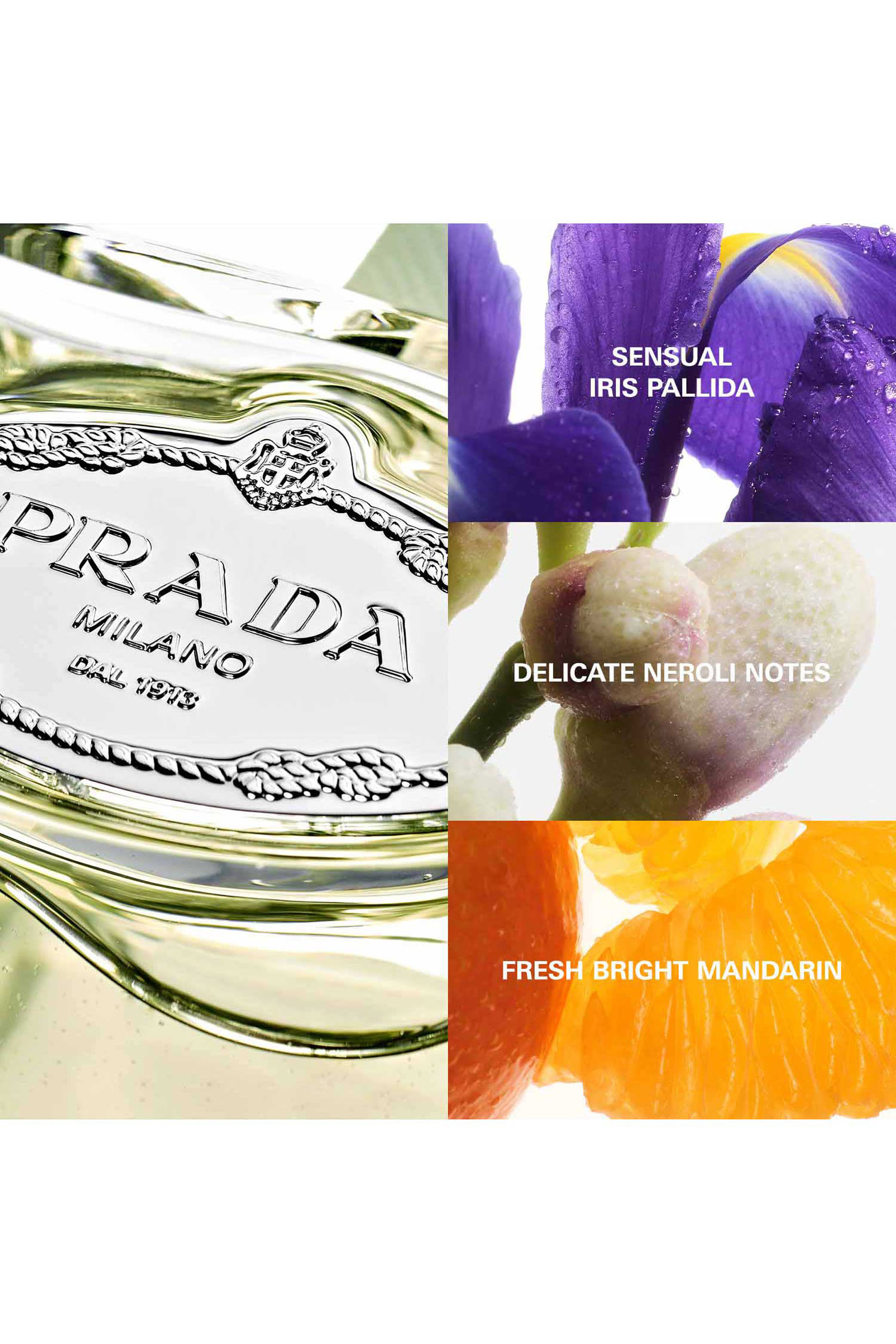 Les Infusions de Prada Iris Eau de Parfum