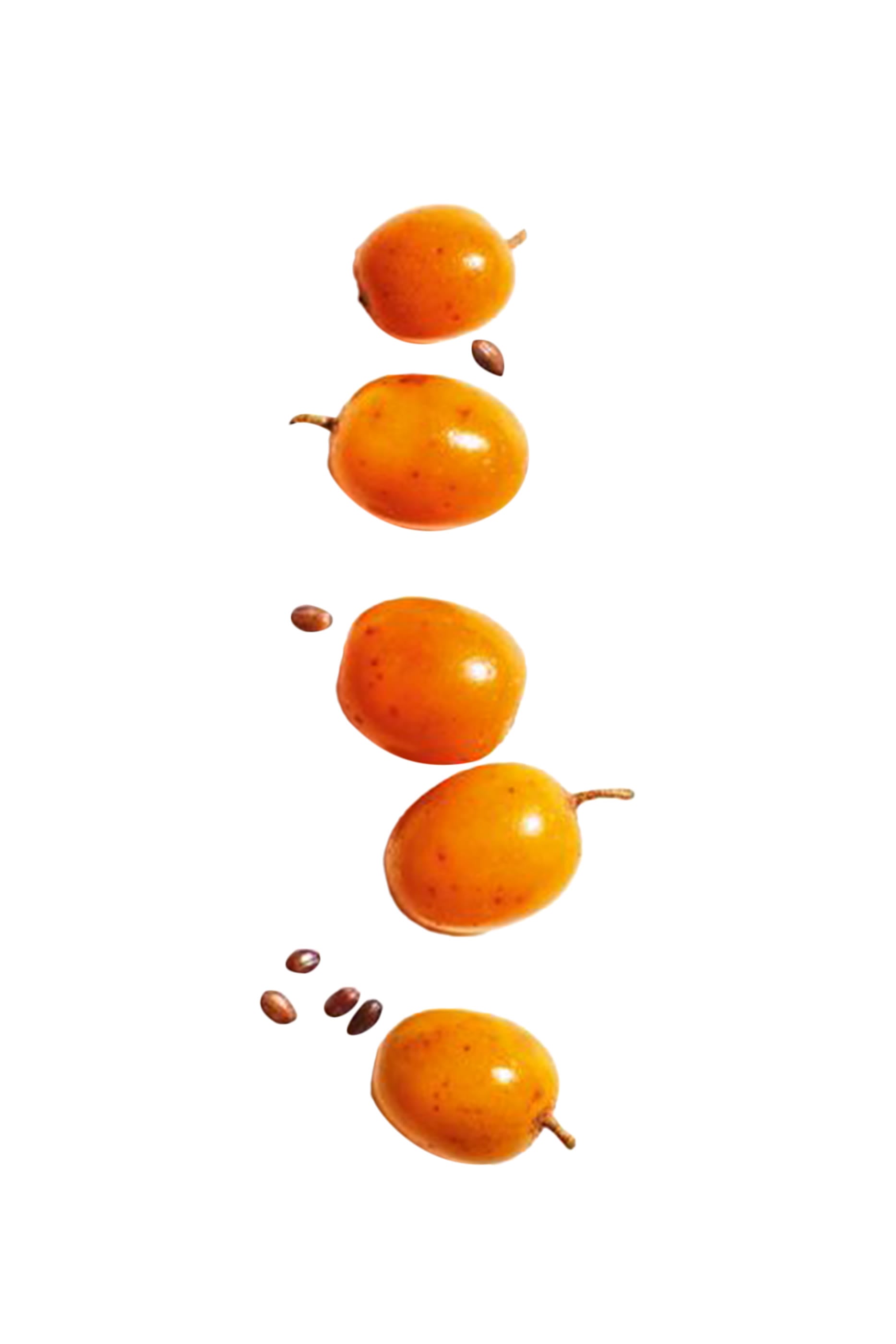 سيروم مزدوج
