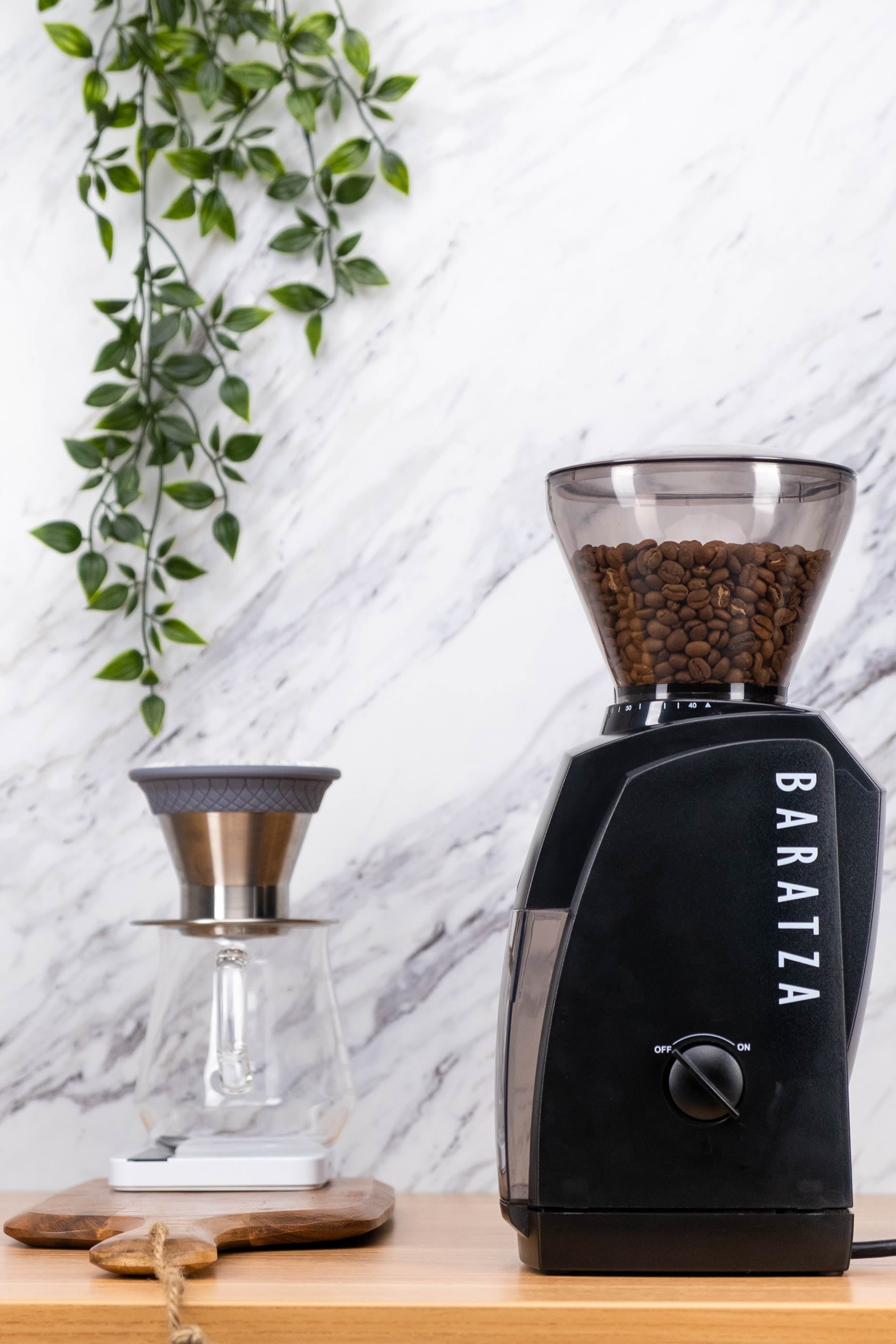Encore 230V Coffee Grinder