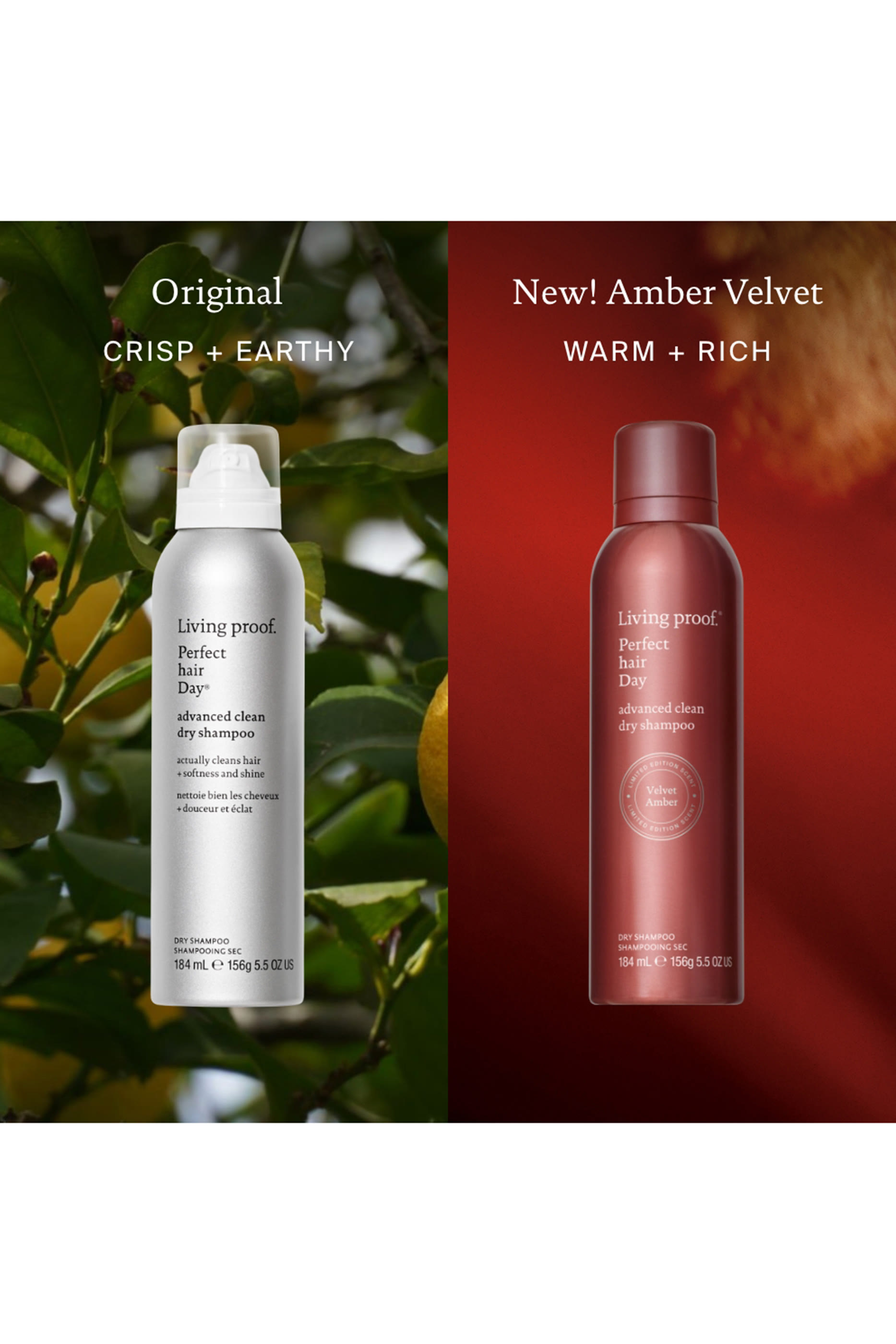 Velvet Amber Advanced Clean Dry Shampoo