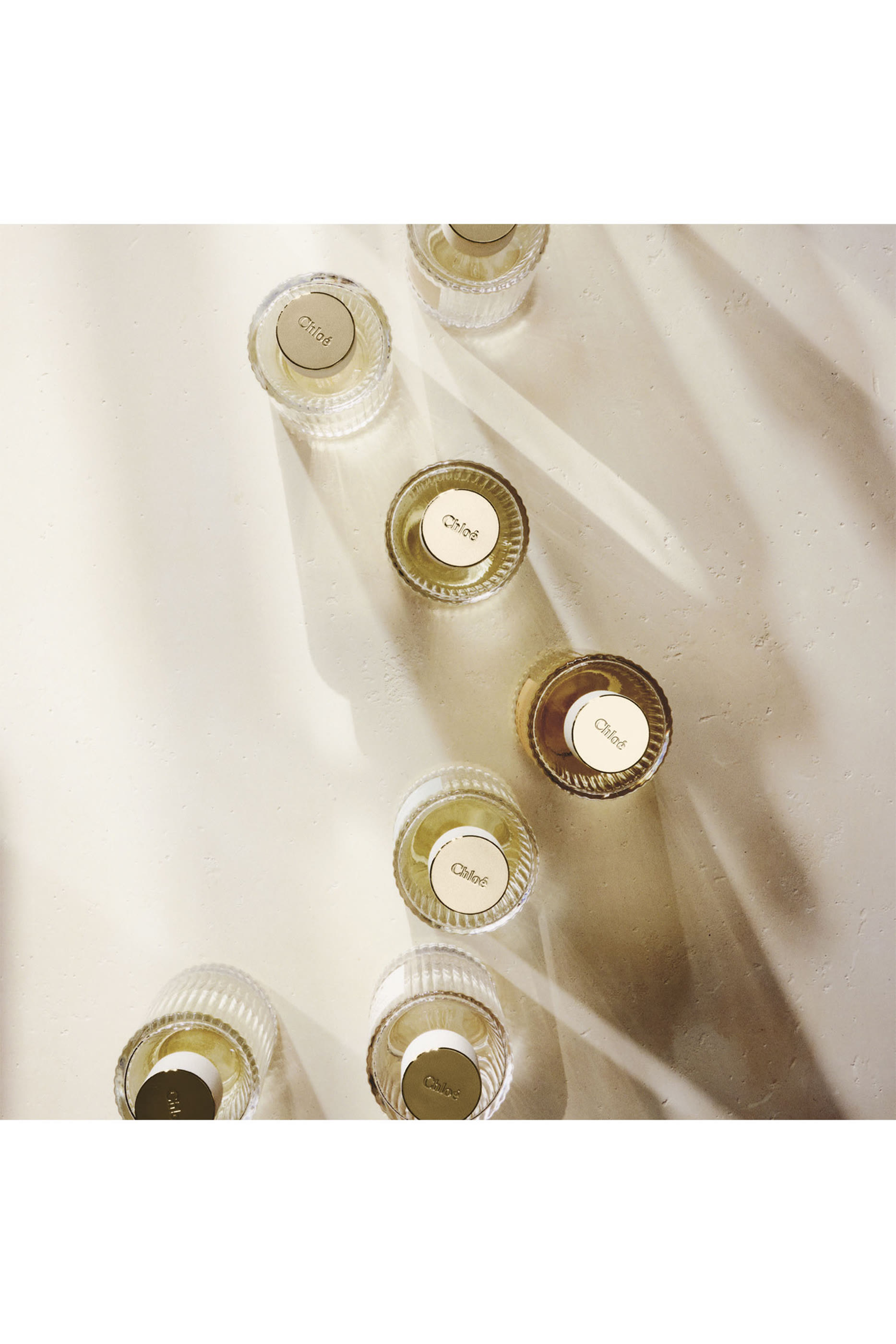 Atelier des Fleurs Vanilla Planifolia Eau de Parfum