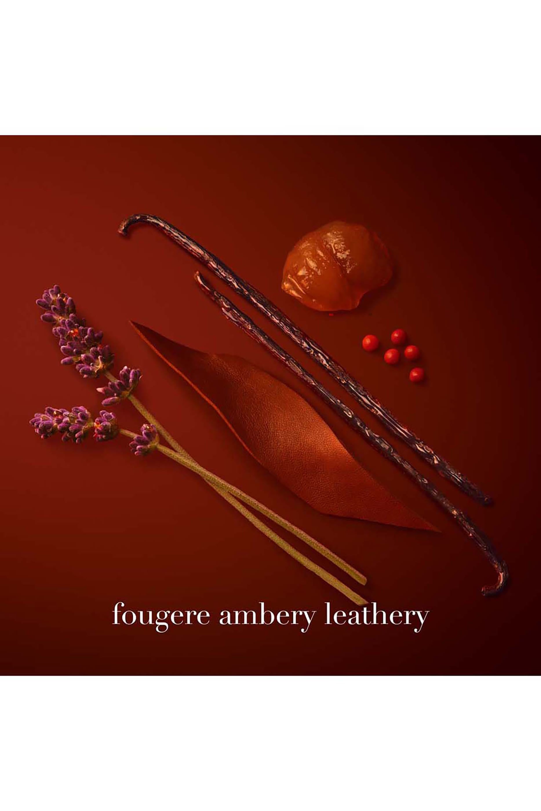 Stronger With You Parfum