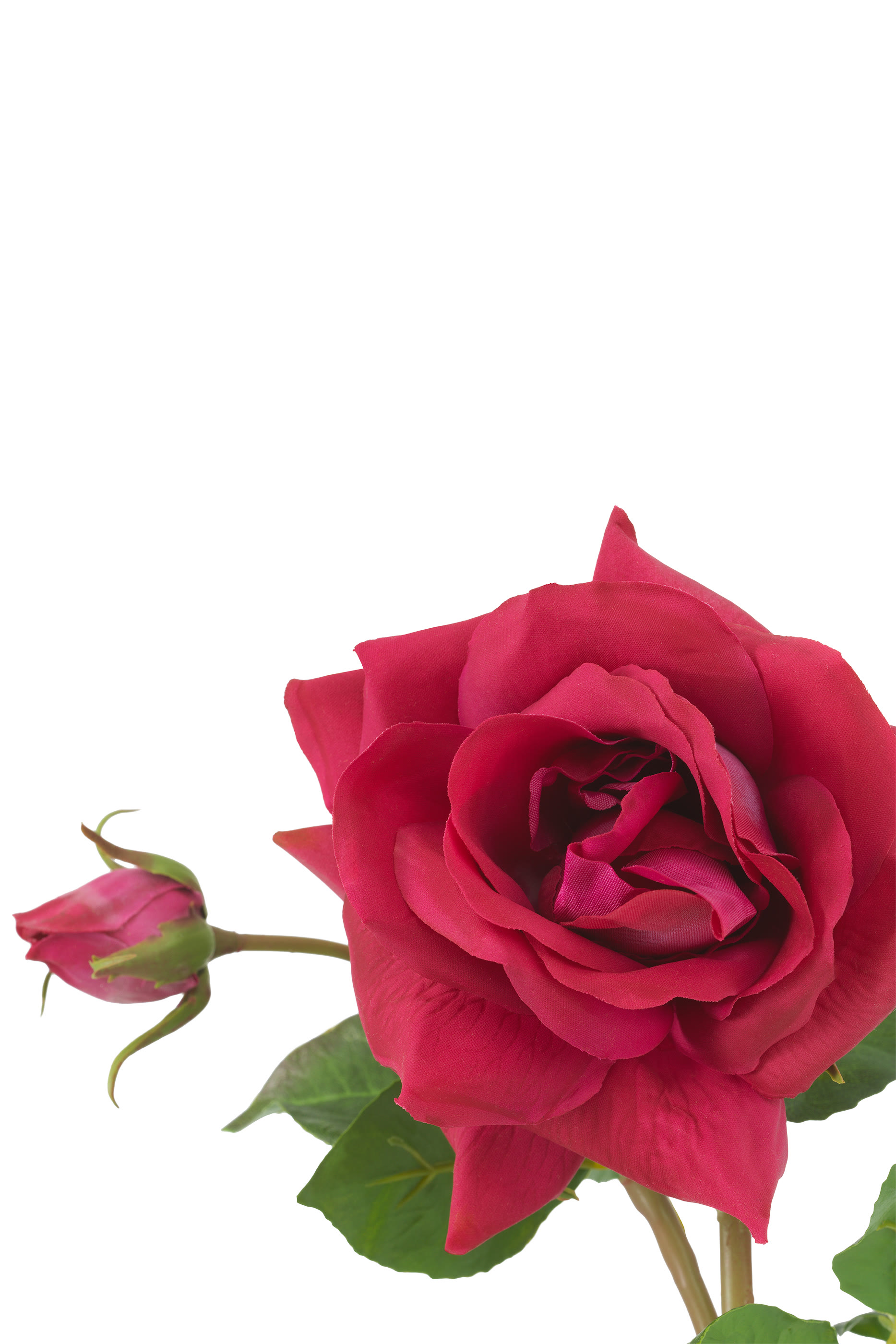 Real Touch Bouquet of Roses - 72 Pieces