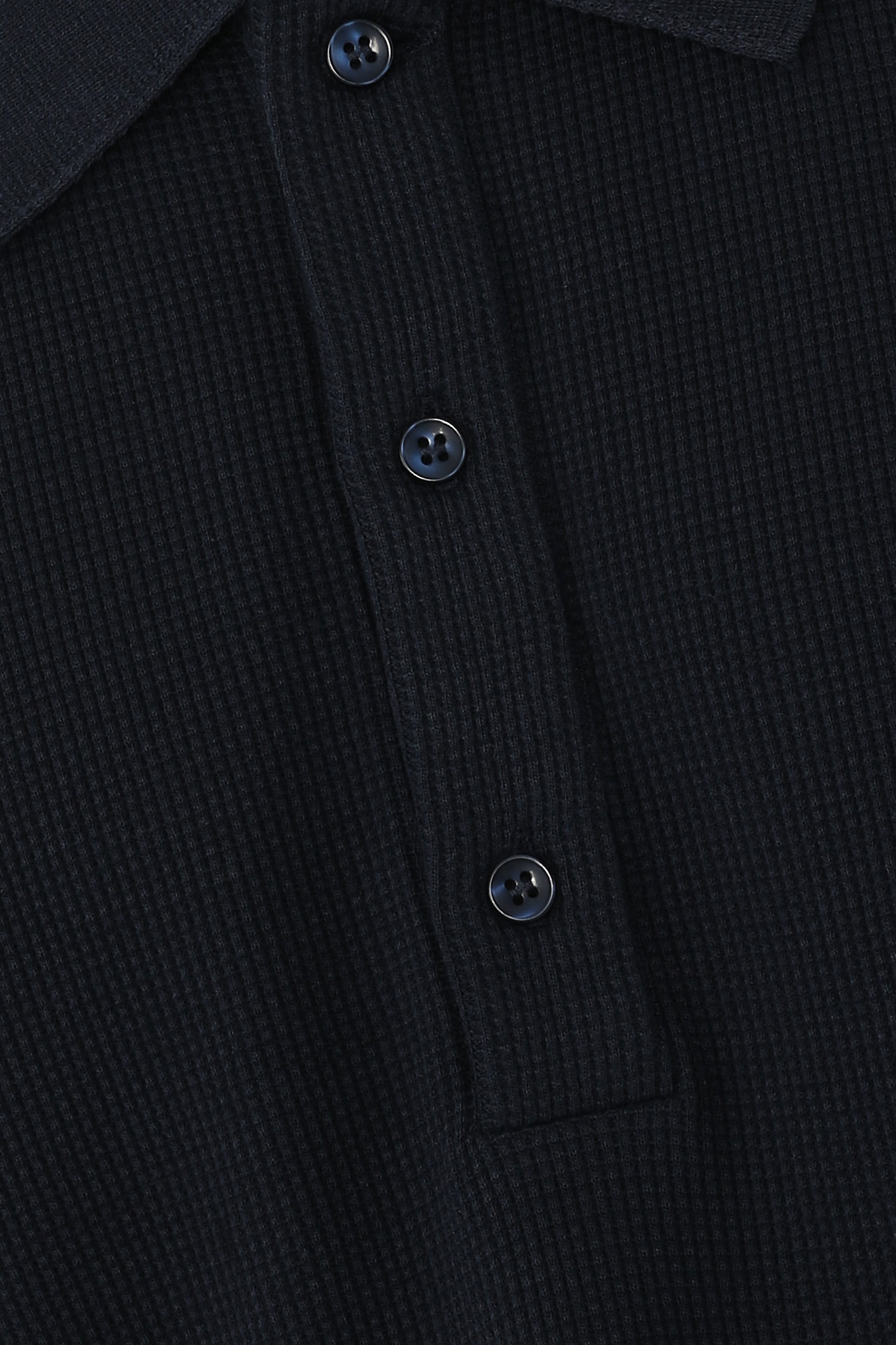 Theo Polo 