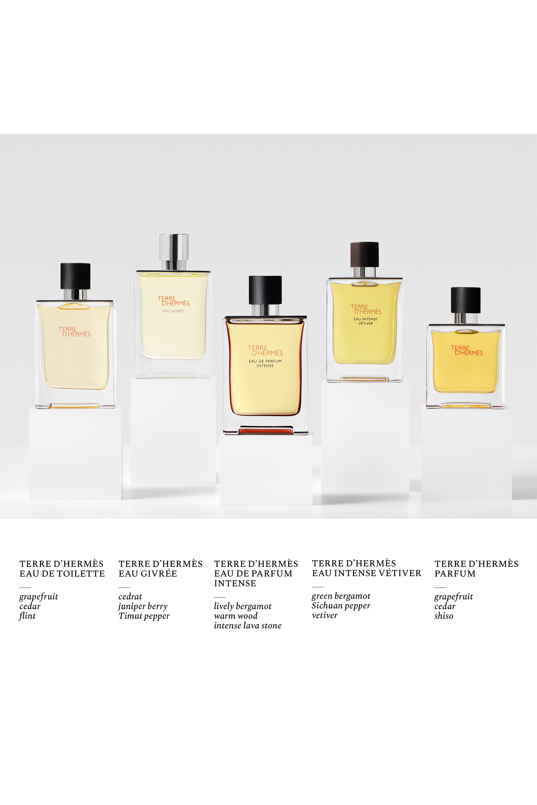 Terre d'Hermès, Eau de Parfum Intense