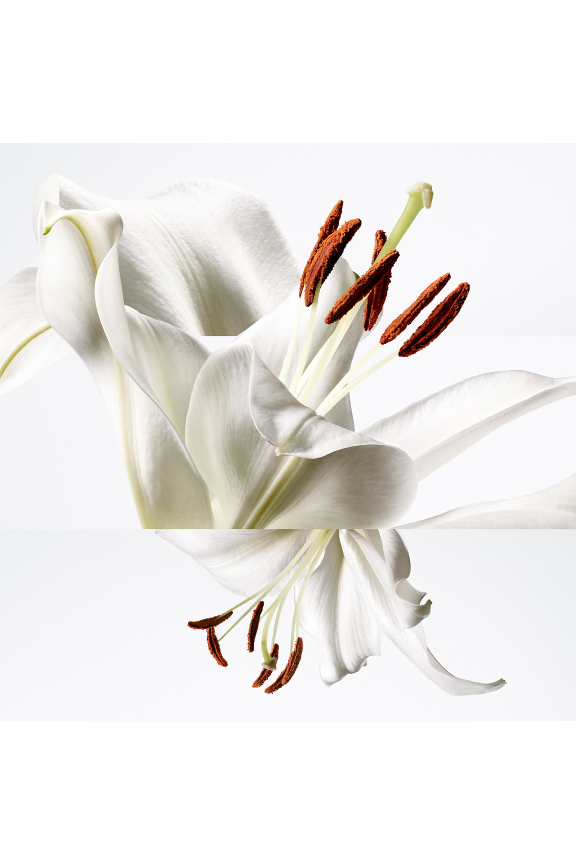 Barénia Pleine Fleur Eau de Parfum