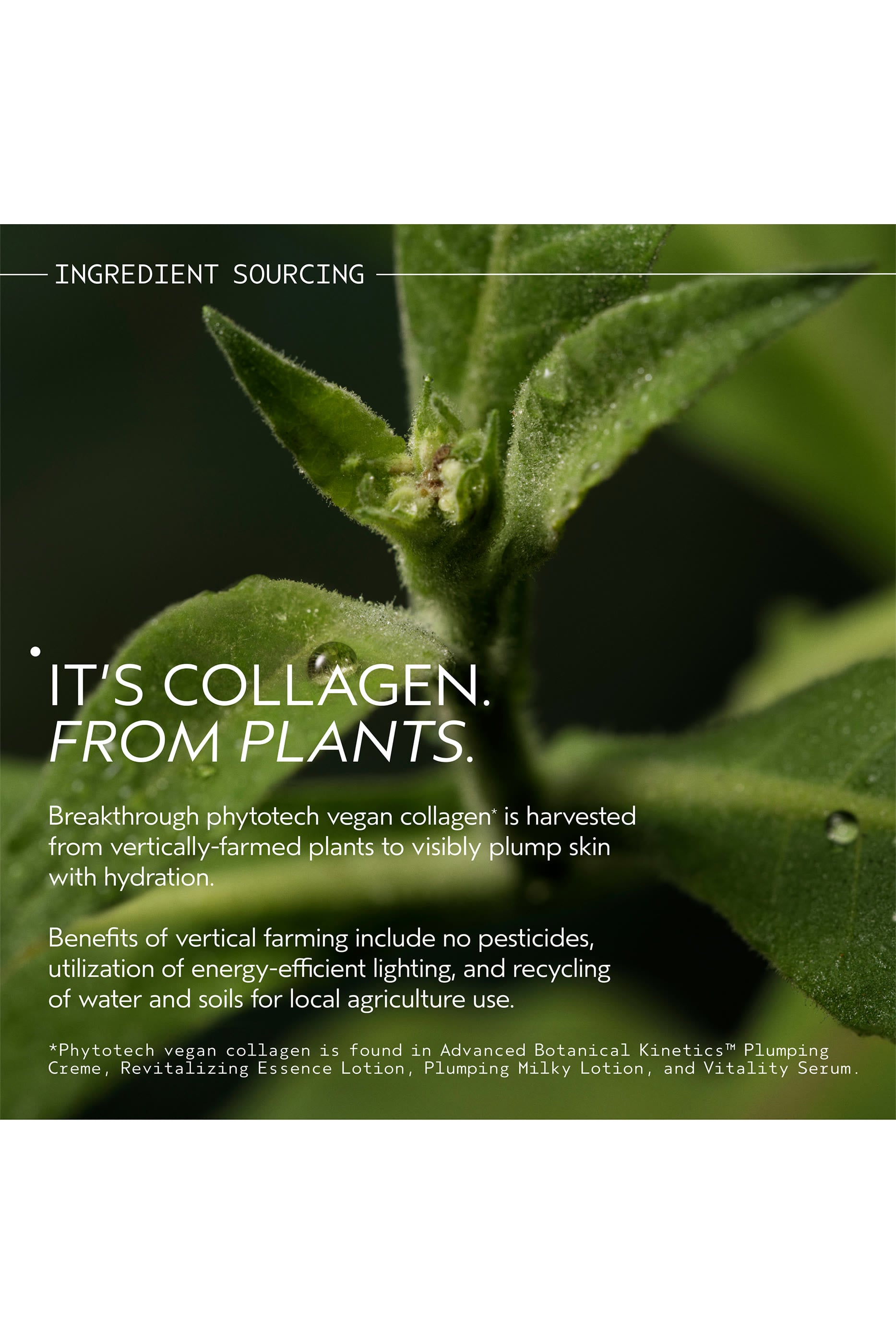 Advanced Botanical Kinetics™ Micro-Purifying Cleansing Mousse