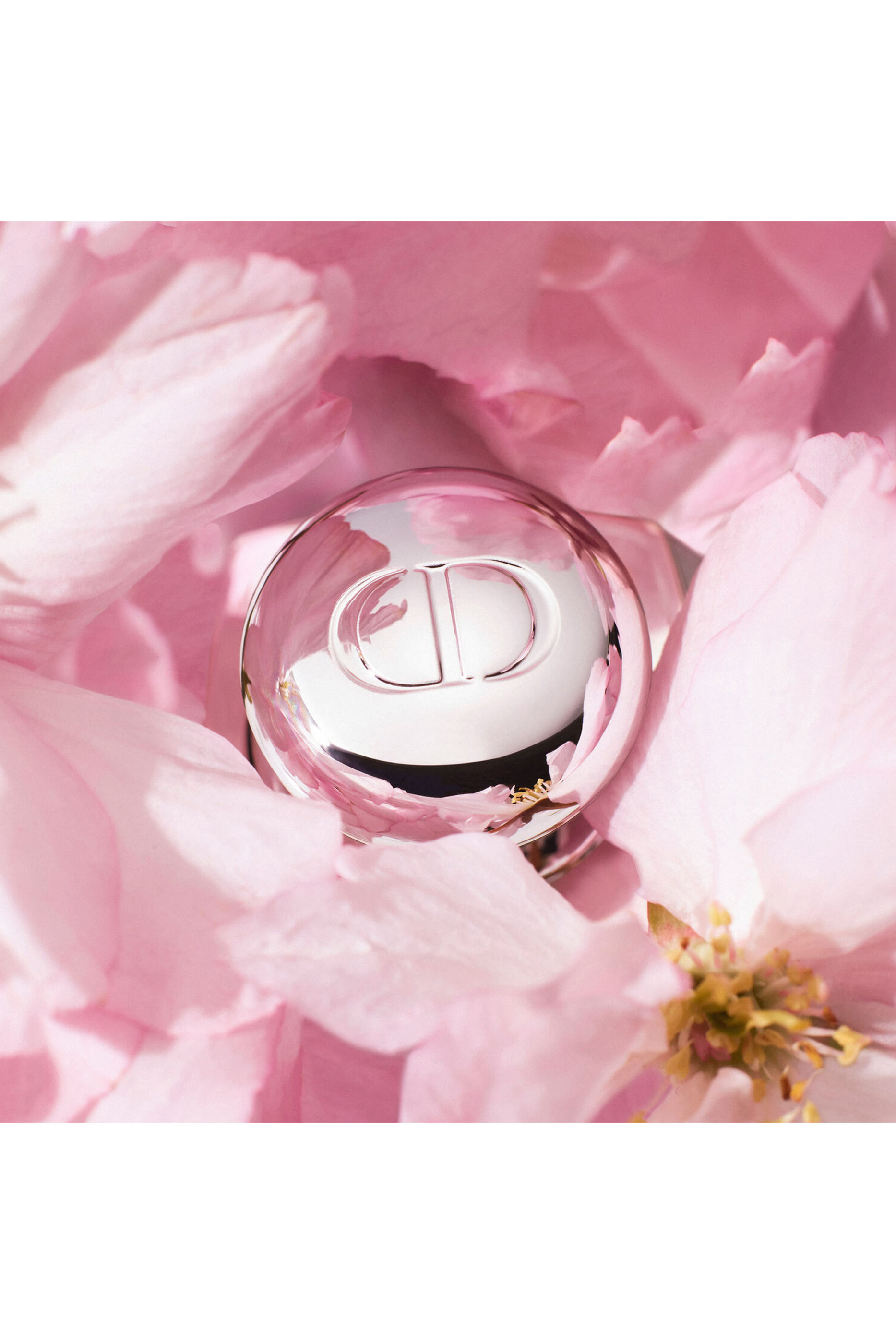 Dior Addict Lip Maximizer