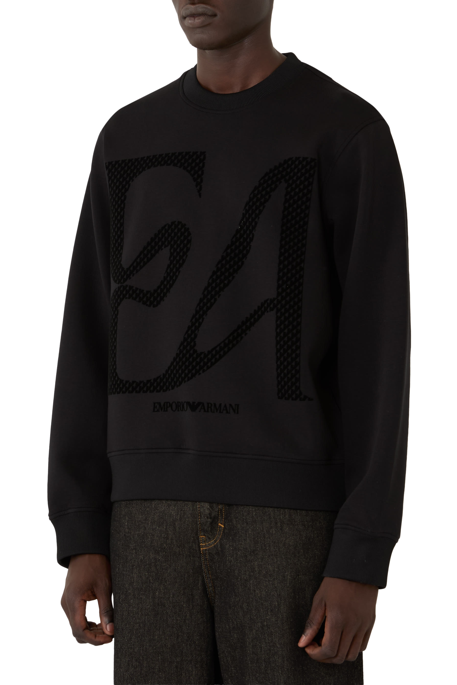 Flocked Eagle Print Sweatshirt