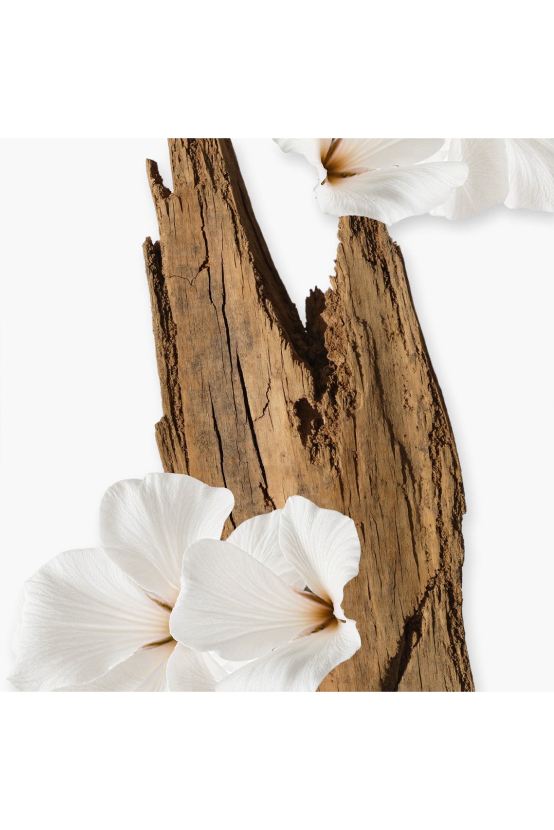 Valaya Body Cream Refill