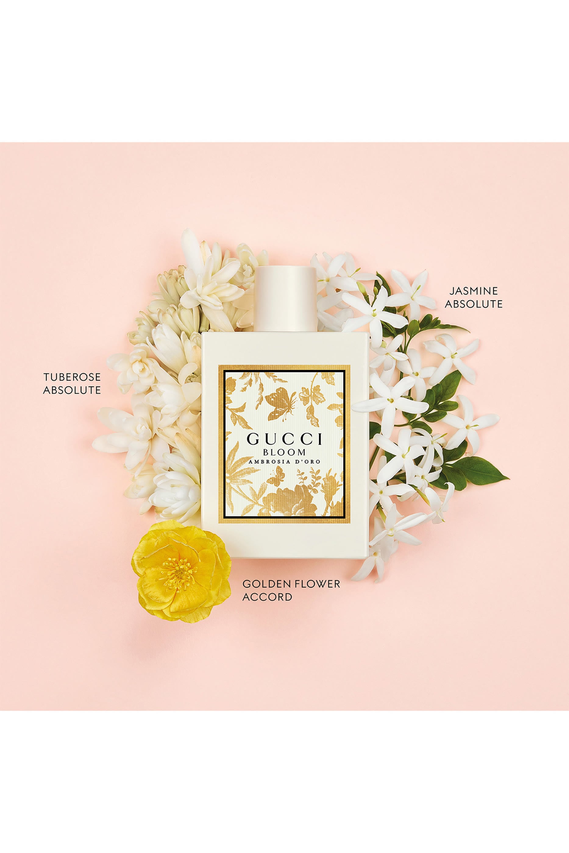 Bloom Ambrosia d’Oro Eau de Parfum