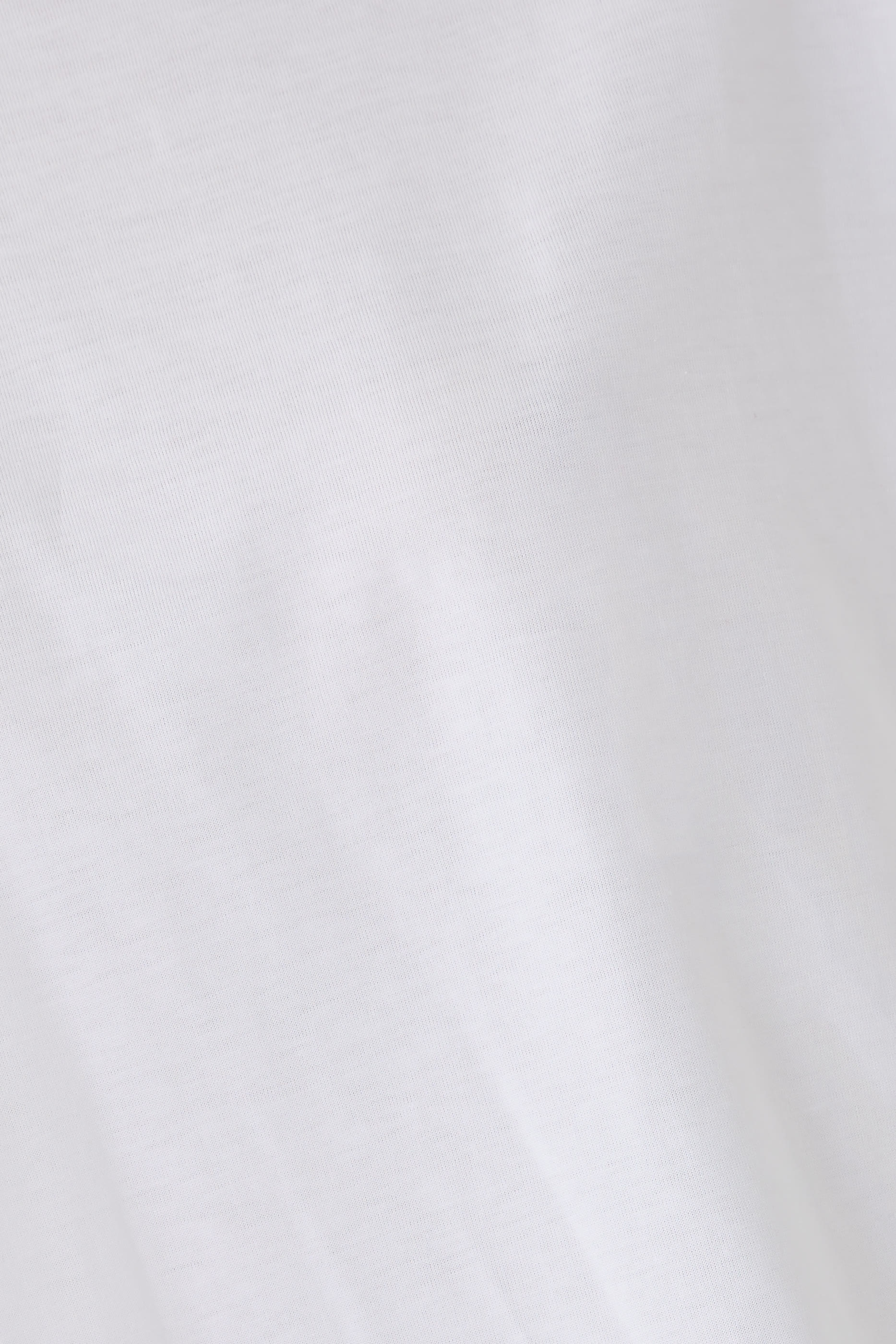 Basiluzzo LDS T-Shirt