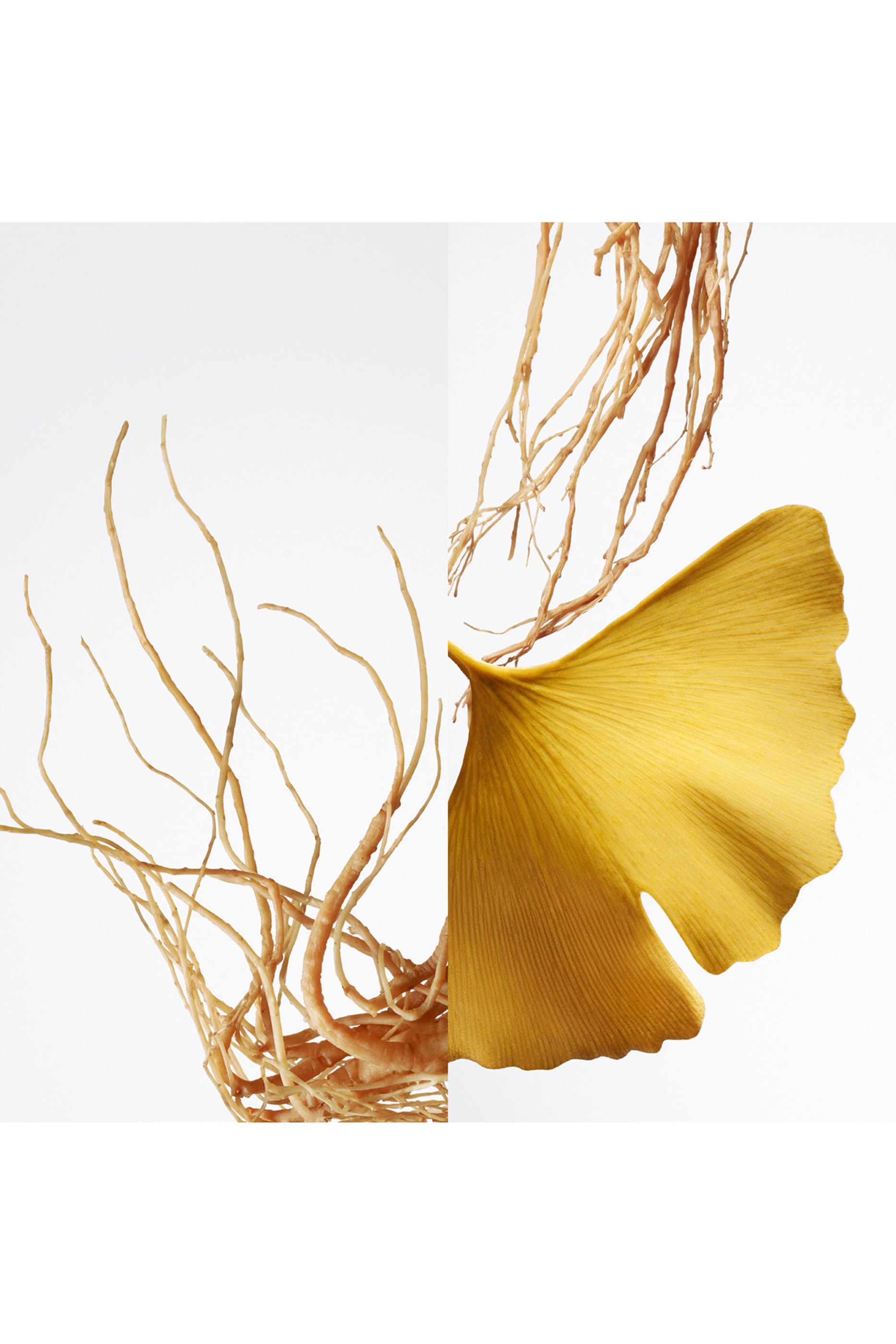 Ginseng Biloba Eau de Parfum