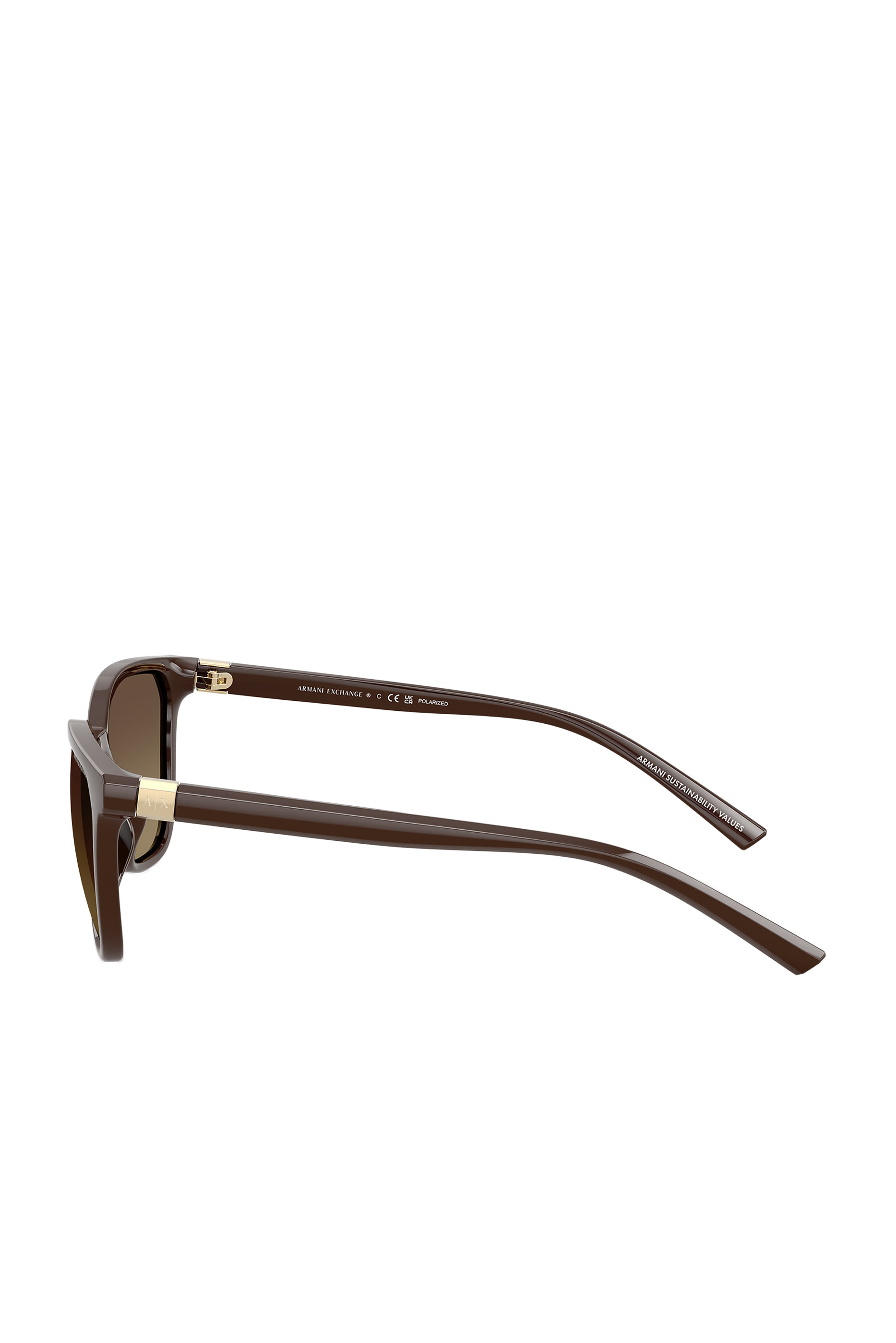 Reinvented Classic Cat Eye-Frame Sunglasses