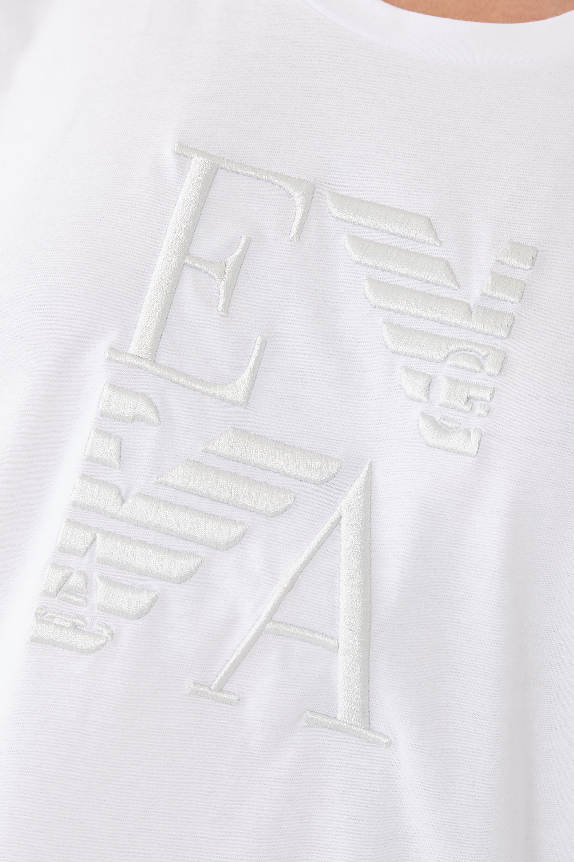 ASV Winter Urbanism Logo Embroidered T-shirt 