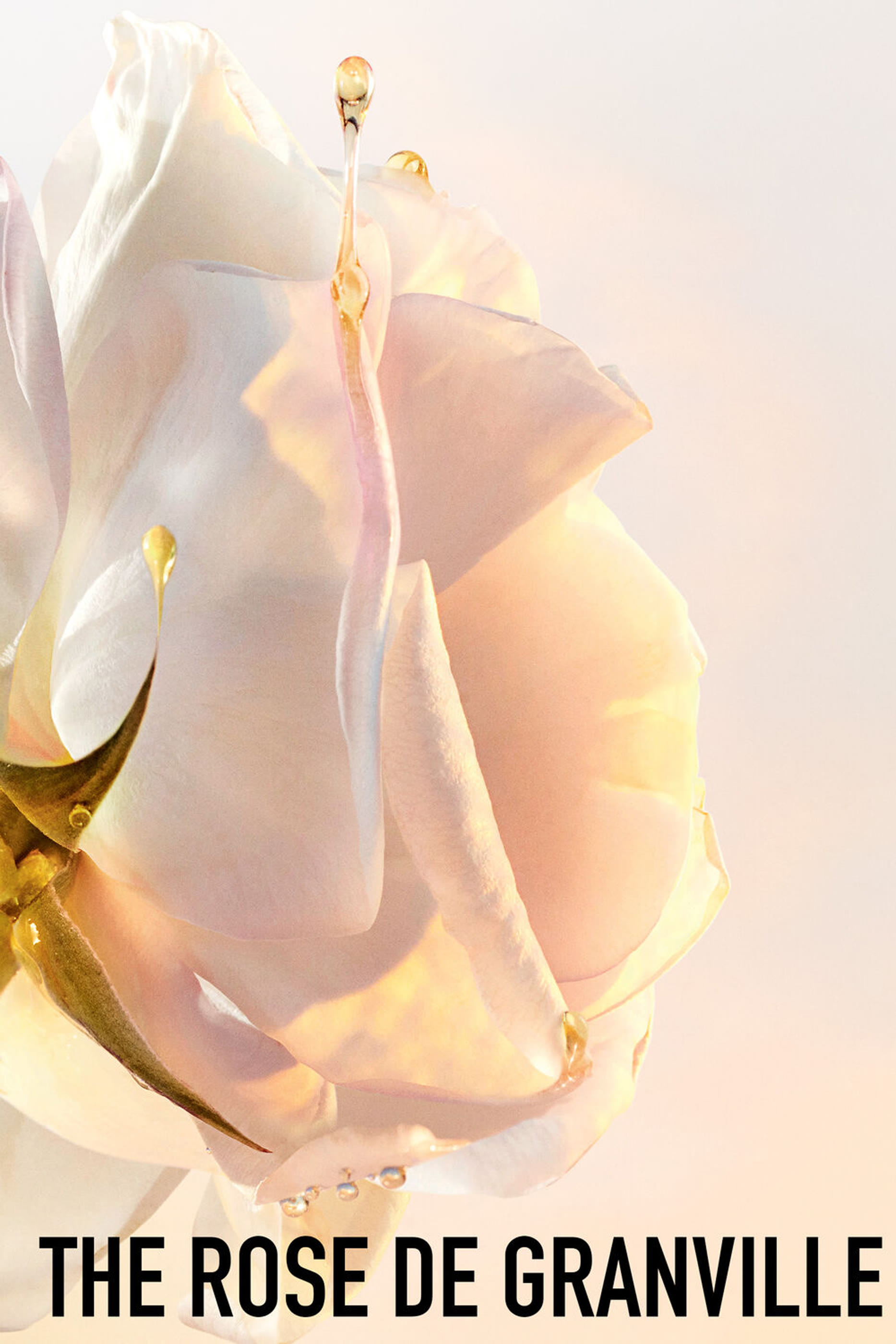 Dior Prestige Le Baume Démaquillant