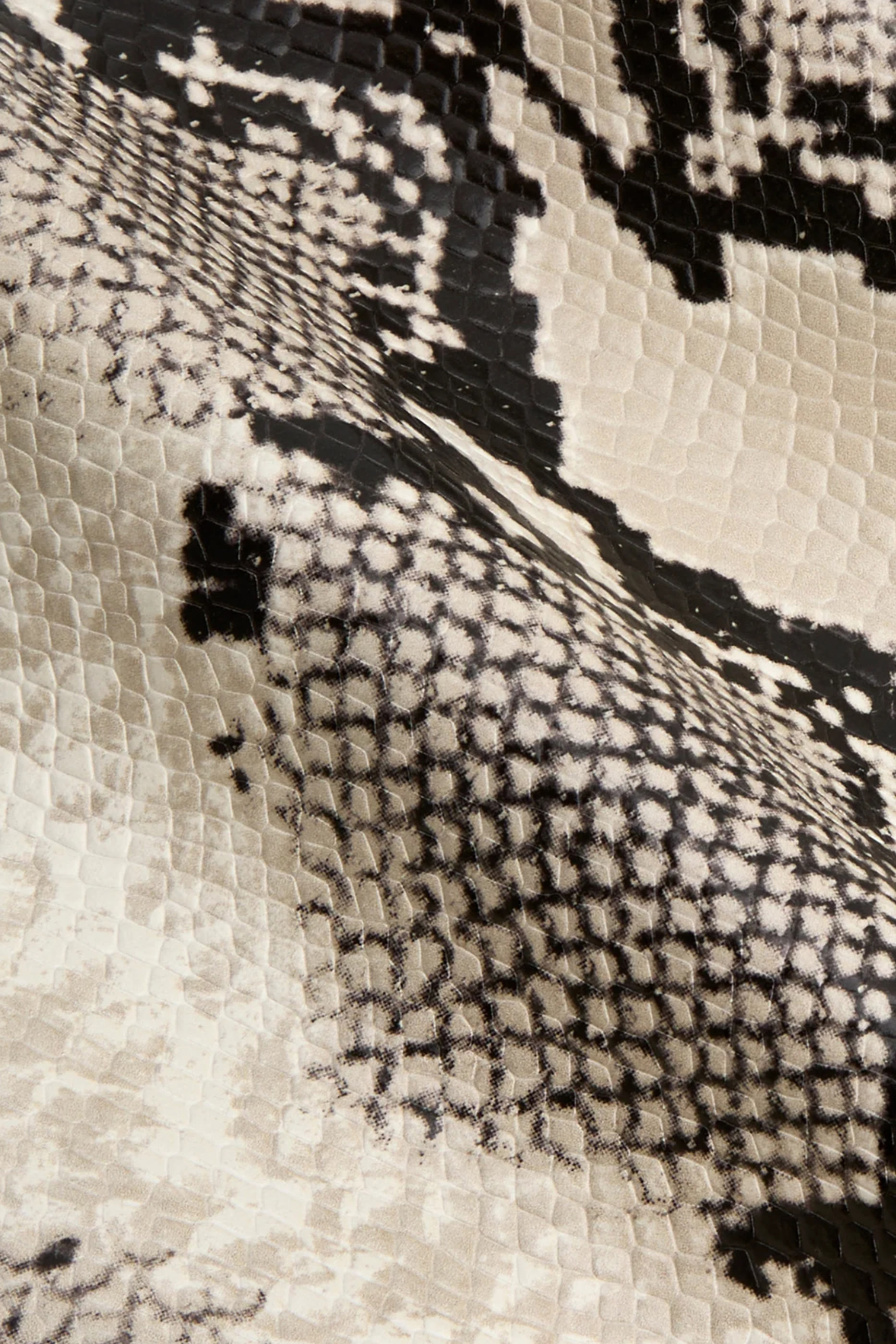 Python Éclair Bag