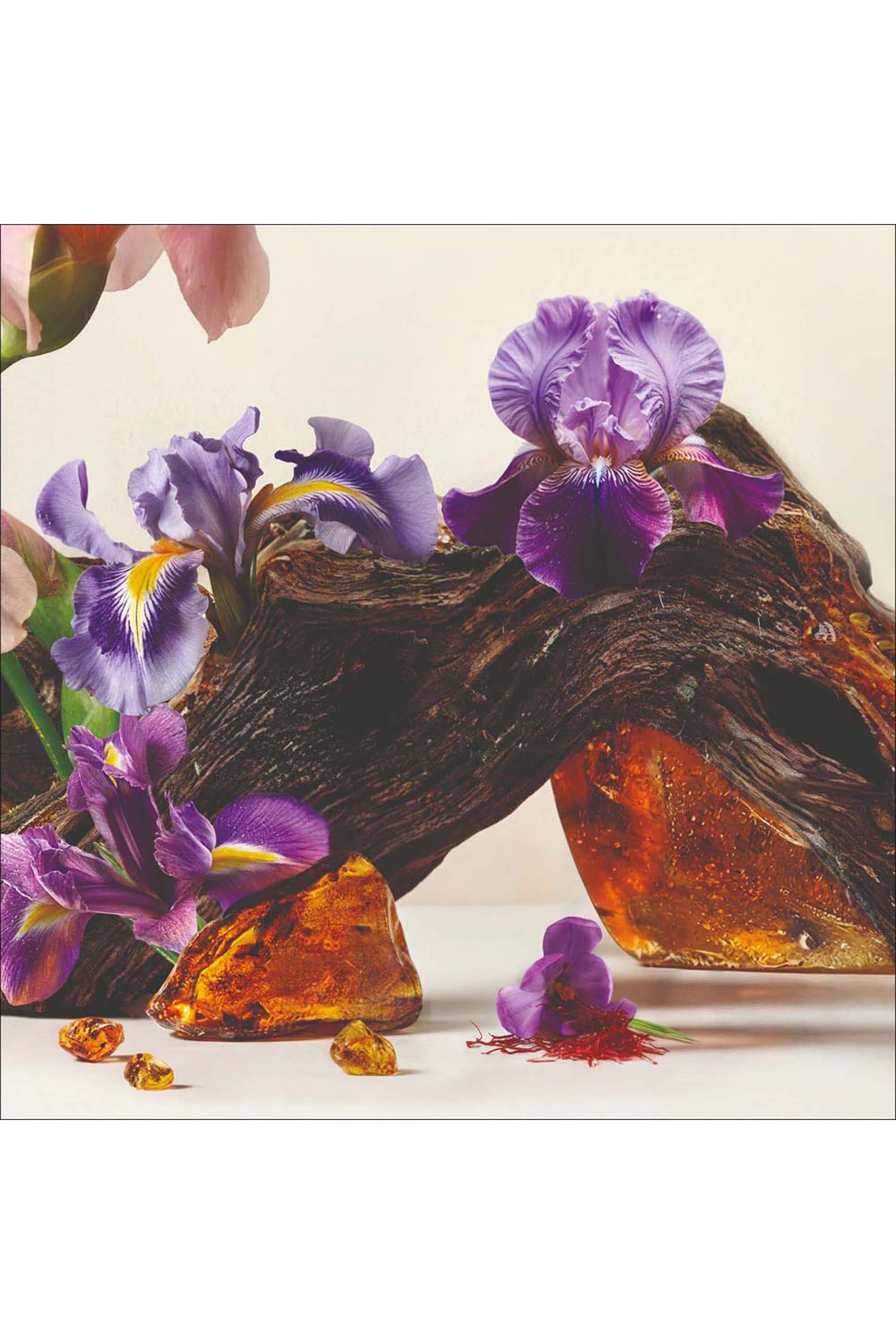 عطر أناتومي أوف دريمز ريف آ تروا