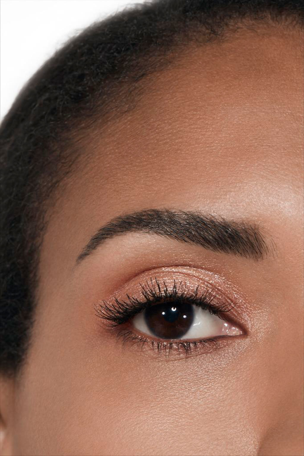 OMBRE PREMI&Egrave;RE LAQUE New. Longwear Liquid Eyeshadow