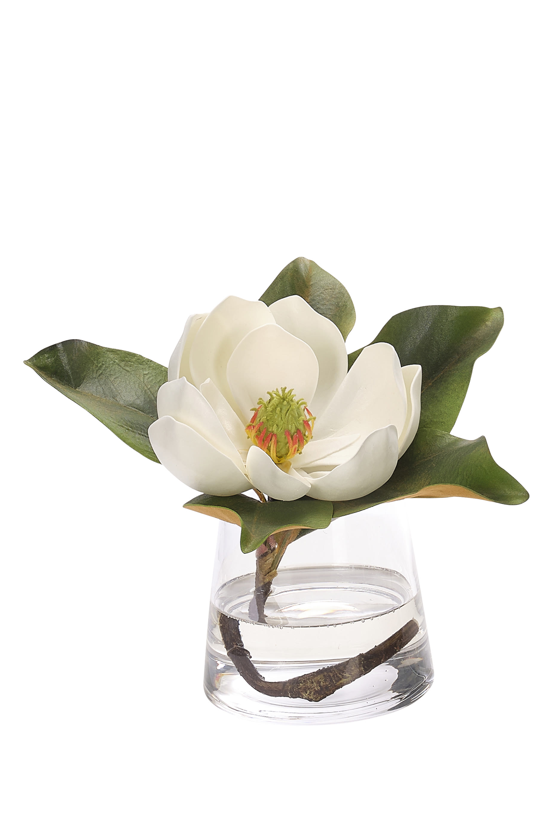 Magnolia - Faux Watergarden